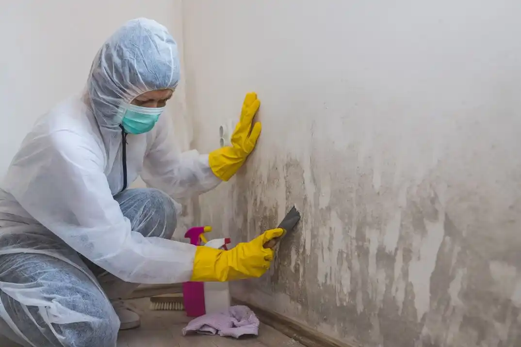 water damage restoration service Lake Success